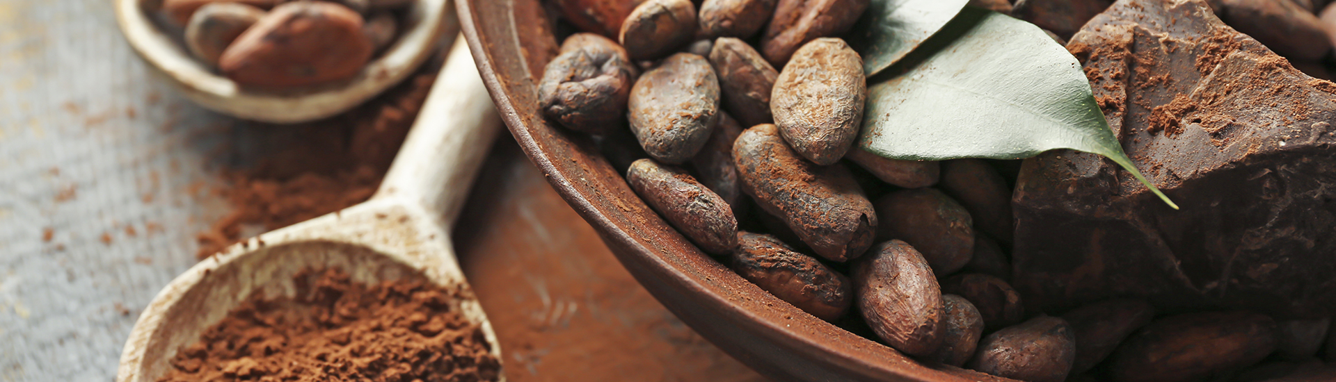 Cocoa powder on wooden spoon